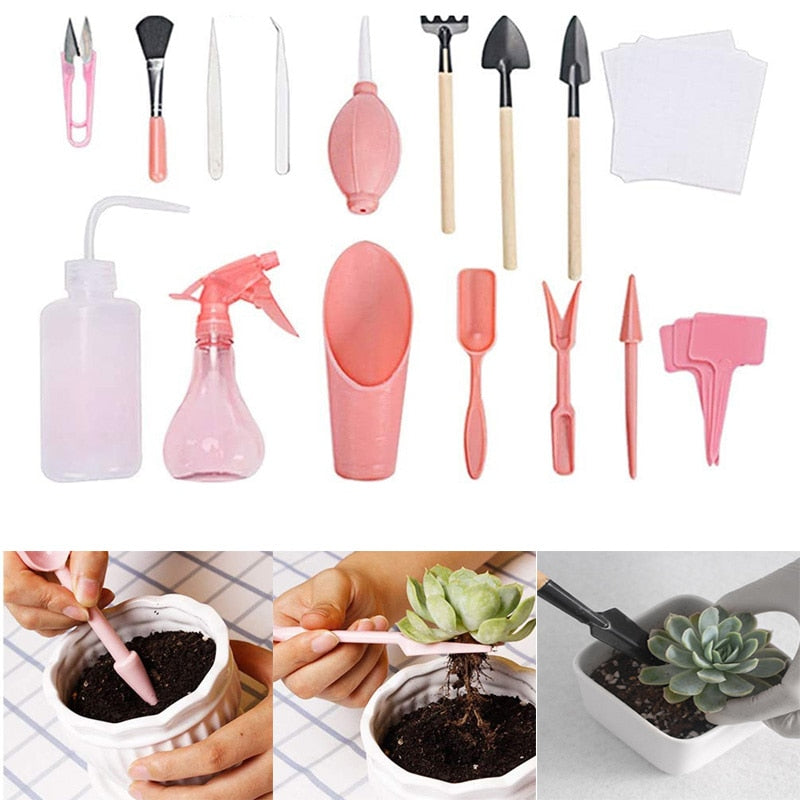 Kit de jardinagem para suculentas 12 peças